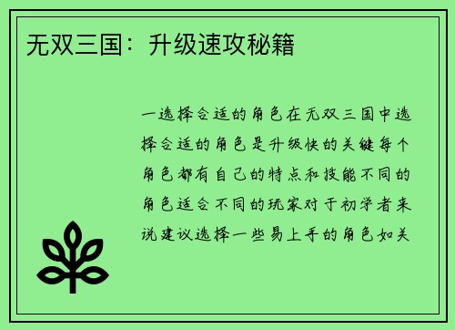 无双三国：升级速攻秘籍